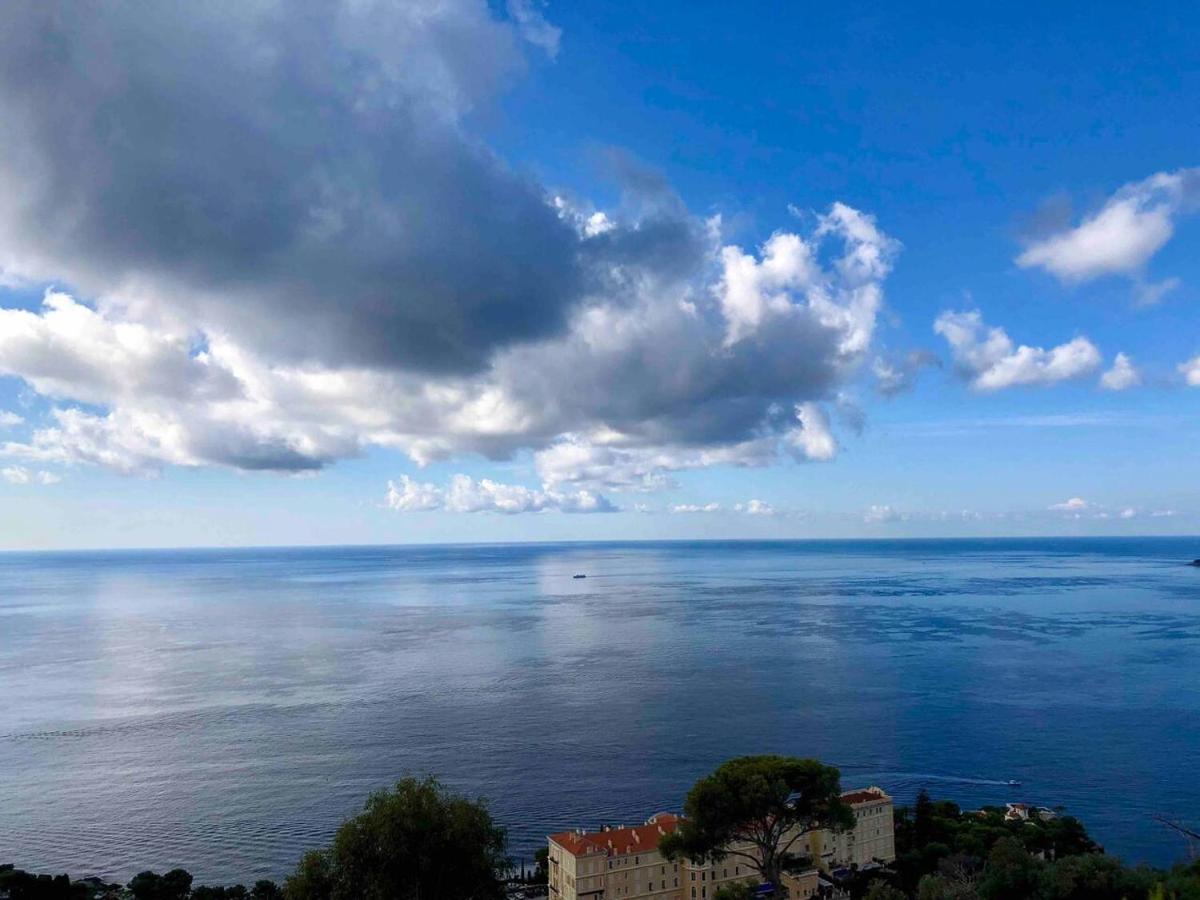 Viangella - Dramatic Sea View! Top Floor 2Km To Monaco Cap-d'Ail Zewnętrze zdjęcie